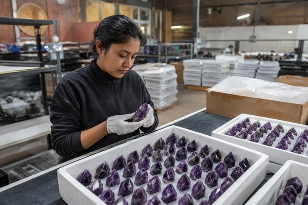 A factory worker inspecting a tray of finished amethyst points before packing a wholesale crystal shipment.