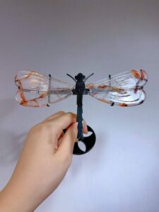 Crystal Dragonfly Decorations