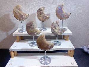 Crystal Crescent Moon Decorations Assortment