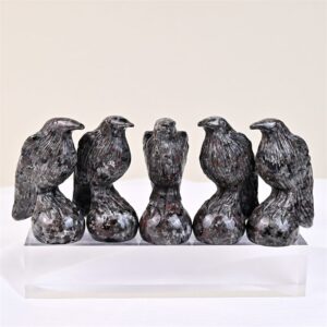 Fire Quartz Crow Crystal Carving wholesale product photo 4