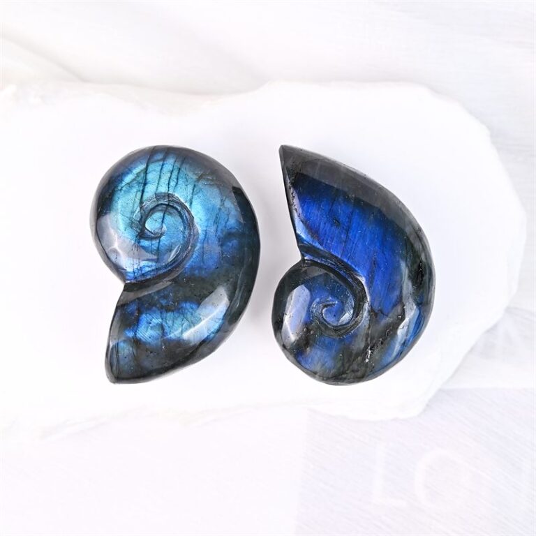 Labradorite Conch Shell Crystal Carving