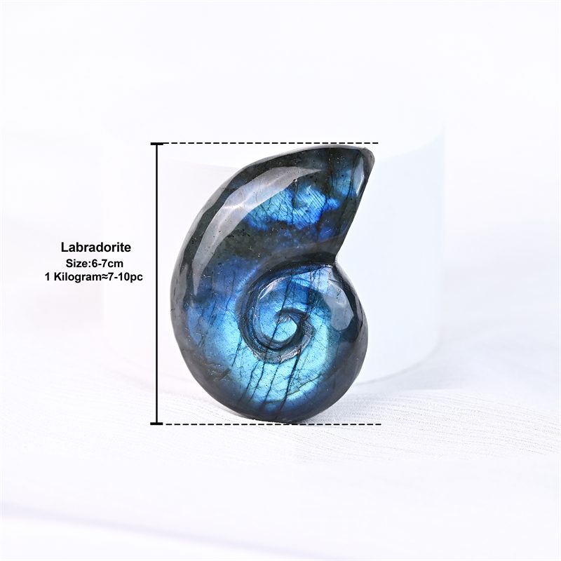 Labradorite Conch Shell Crystal Carving wholesale product photo 2
