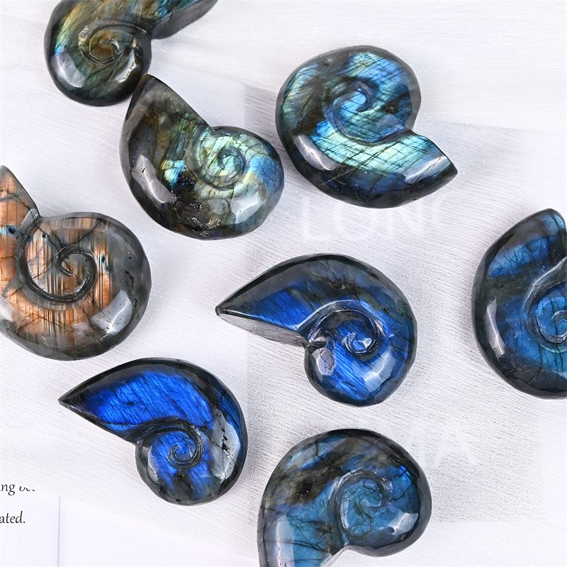 Labradorite Conch Shell Crystal Carving wholesale product photo 3
