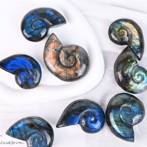 Labradorite Conch Shell Crystal Carving wholesale product photo 4