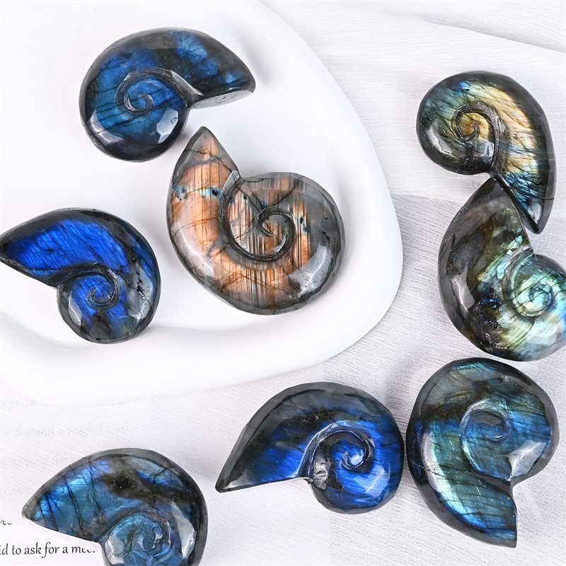 Labradorite Conch Shell Crystal Carving wholesale product photo 4